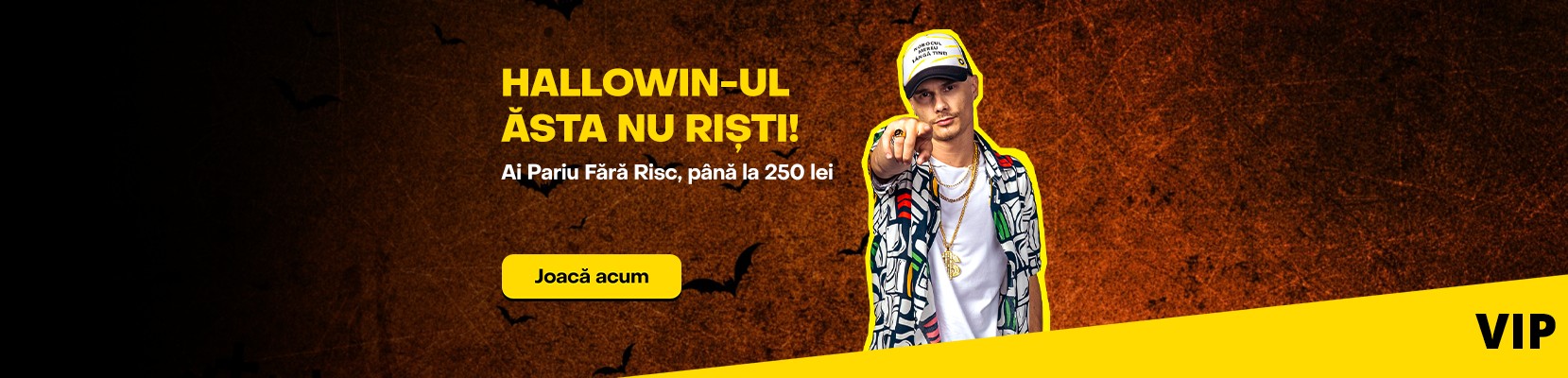 1659x400 Halloween SB